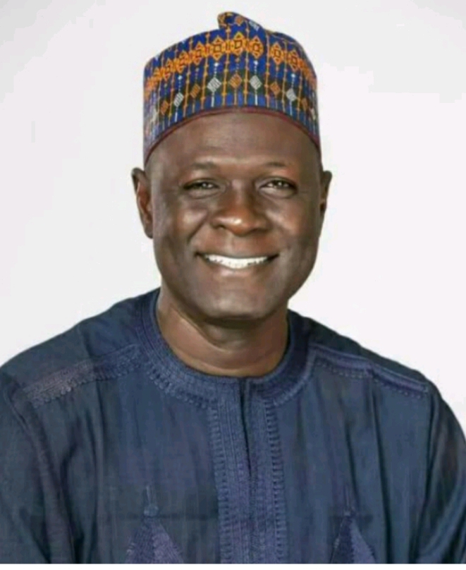 Tax reform bill: In defence of Senator Babangida Hussaini