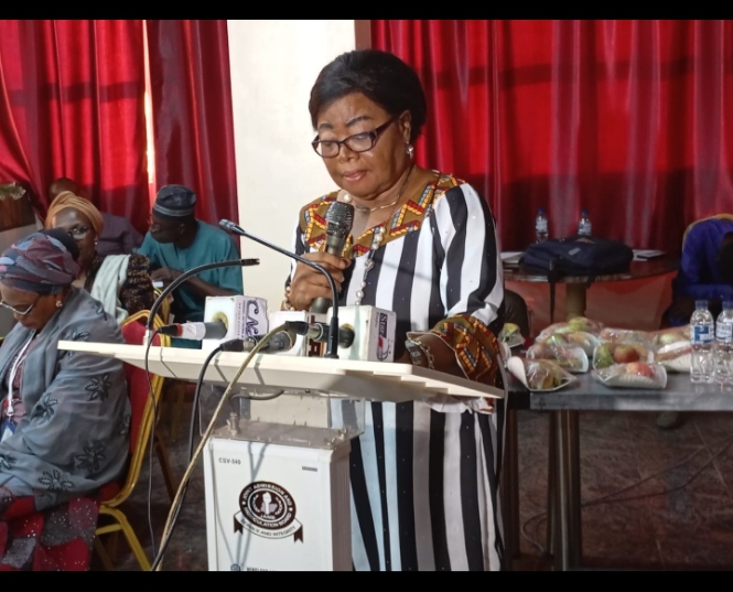 Curriculum experts urge FG to integrate STEAM education in school curriculum