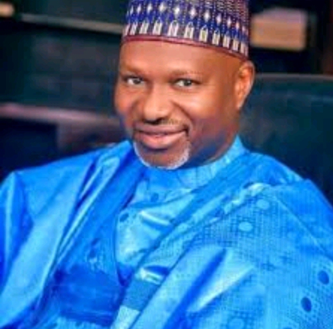 Impacts of Senator Mallamadori’s visionary leadership on national development 