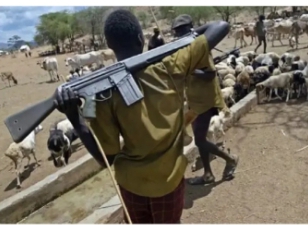 Armed herdsmen kill nine in Benue communities
