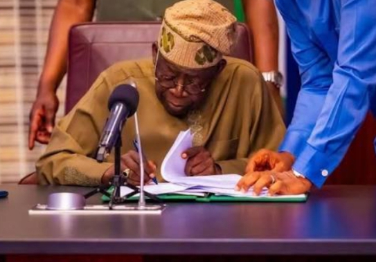 Tinubu Appoints Fayose, 25 others to federal agencies, commissions