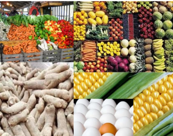 From Classrooms to Farmlands: Why Nigeria’s 80% practical agric curriculum is the reform we’ve waited for